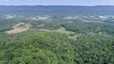 0 Lester Whitt Rd unit 1174337, Rutledge, TN 37861 - photo 4