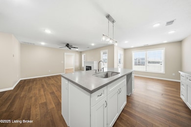 25 Paislynne Ct, Brandenburg, KY 40108 - photo 6