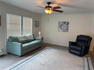 Living room with carpet floors, a ceiling fan, a t