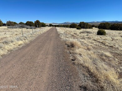 0 Lot 185 Lakeview Ranch Unit 4 unit 255032, Concho, AZ 85924 - photo 6