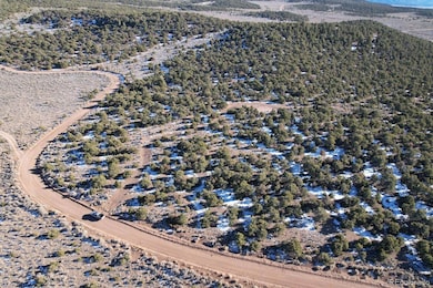 0 Eagle Nest Rd, San Luis, CO 81152 - photo 4