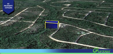 0 Cane St unit 25713048, Marianna, FL 32448 - photo 3