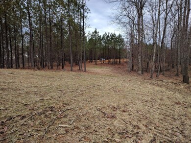 0 Bear Trace Dr unit RTC2729913, Jasper, TN 37347 - photo 2