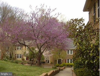 694 N Armistead St unit 48, Alexandria, VA 22312 - photo 2