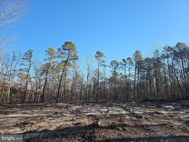 1930 Mccall Ave, Mays Landing, NJ 08330 - photo 3