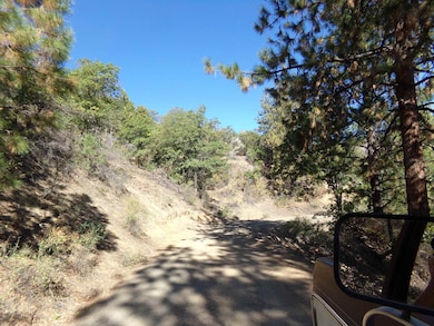 XX Humbug Rd, Yreka, CA 96097 - photo 3