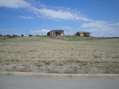 Lot 31 (2)