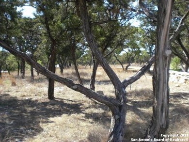 25011 Miranda Ridge, Fair Oaks, TX 78006 - photo 4