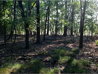 0 On Hwy 43 Hwy unit 687763, Siloam Springs, AR 72761 - photo 3