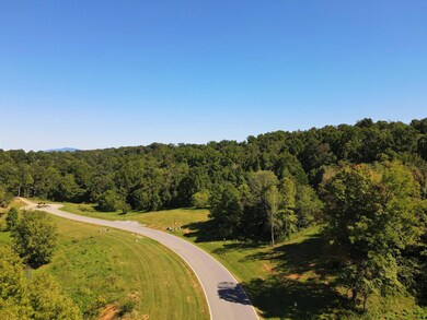 DJI_0061