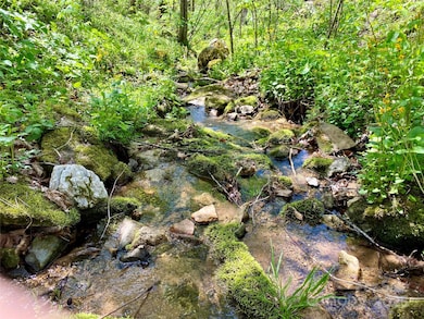 7858 Big Laurel Rd, Marshall, NC 28753 - photo 3