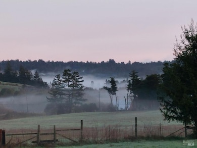 13881 Bodega Hwy, Sebastopol, CA 95472 - photo 5