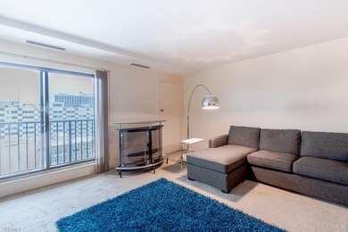 Spacious living room with a refinished balcony overlooking Lake Erie.