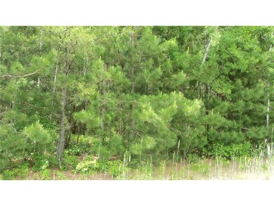 LOT 6 Maple Ln, Siren, WI 54872 - photo 4