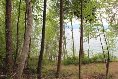 At the lake
