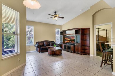 Vaulted Ceilings in Family Room