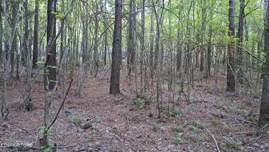 Lot 22 Airport Rd (Pca), Rockwood, TN 37854 - photo 7