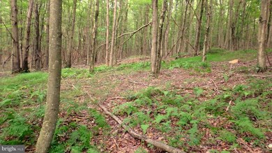 Lot 151 Trough View Rd, Old Fields, WV 26836 - photo 5