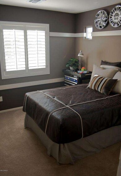 Aster bed 3