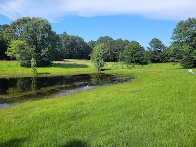 1047 County Road 4452, Bivins, TX 75555 - photo 6