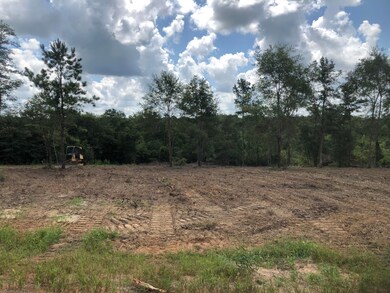 5.90ac Mill Creek Ln, Lucedale, MS 39452 - photo 2