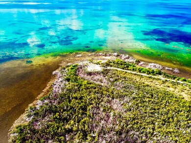 DJI_0736
