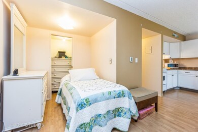 255 S West Ave unit 202, Elmhurst, IL 60126 - photo 2