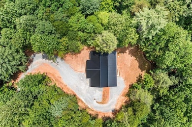 641 Bryant Farm Ln, Ellijay, GA 30540 - photo 6