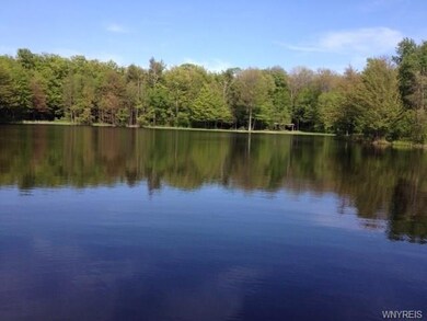 0 Scotch Blooming Hill Rd unit B1205066, Freedom, NY 14065 - photo 2