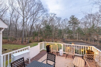 51 Meadowbrook Rd, Weston, MA 02493 - photo 7