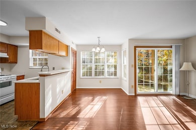 1110 Stoney Run Trail unit 1110, Broadview Heights, OH 44147 - photo 4