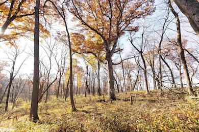 18781 125th St, Ottumwa, IA 52501 - photo 4