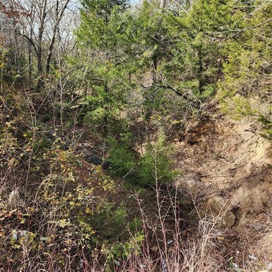 TBD Cr 2395, Alvord, TX 76225 - photo 4