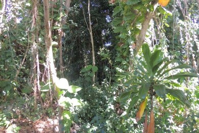 2035 Kinoole St, Hilo, HI 96720 - photo 6