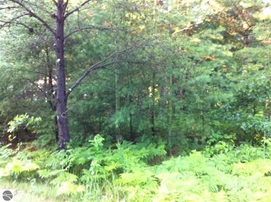 N/A Huron Breeze Drive Lot 47 unit 47, Au Gres, MI 48703 - photo 6