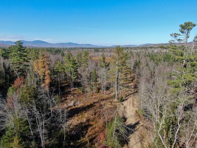 DJI_0542