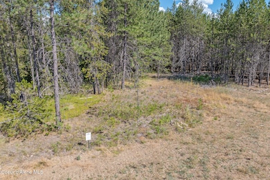 Lot 5 Dawson Lp, Athol, ID 83801 - photo 3