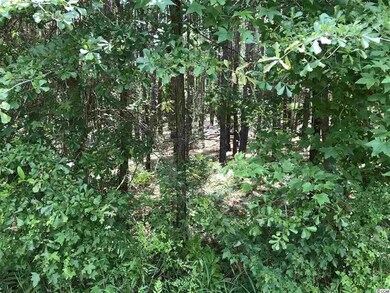 Lot 3 Chow Ln, Conway, SC 29526 - photo 4