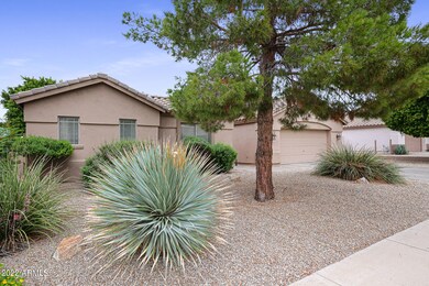 5446 E Grove Ave, Mesa, AZ 85206 - photo 3