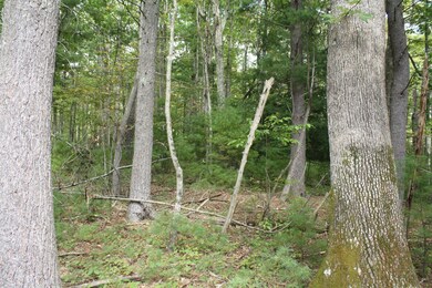IMG_9147