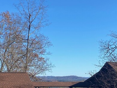 View across the street/above neighbors home