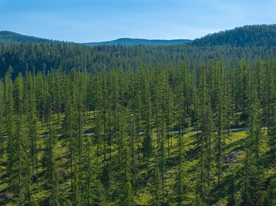 2600 Mountain Home Lot 17 Rd, Whitefish, MT 59937 - photo 7