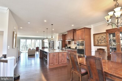 25009 Cambridge Hill Terrace, Chantilly, VA 20152 - photo 7