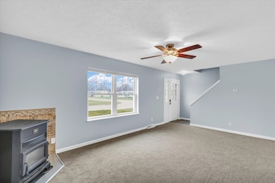 unlisted-address, Mahomet, IL 61853 - photo 7
