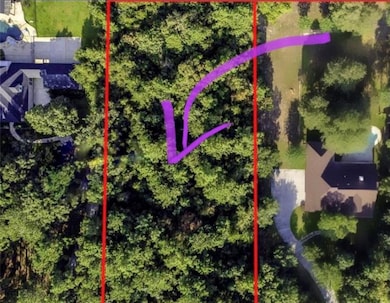 8524 Crown Lake Ct, Montgomery, TX 77316 - photo 2