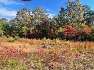 Lot 5 Jay Bird Trail, Franklin, NC 28734 - photo 5