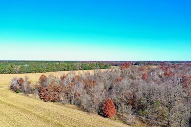 Tbd Flamingo St, Isanti, MN 55040 - photo 6