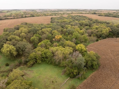 Tbd L Rd, Palmyra, NE 68418 - photo 5