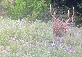 780 Sd 42000, Rocksprings, TX 78880 - photo 2