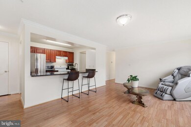 2609 Camelback Ln unit 6, Silver Spring, MD 20906 - photo 6